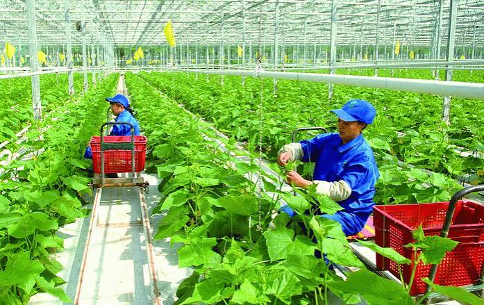 Phát triển mô hình kinh doanh xanh trong các doanh nghiệp khởi nghiệp tại Việt Nam