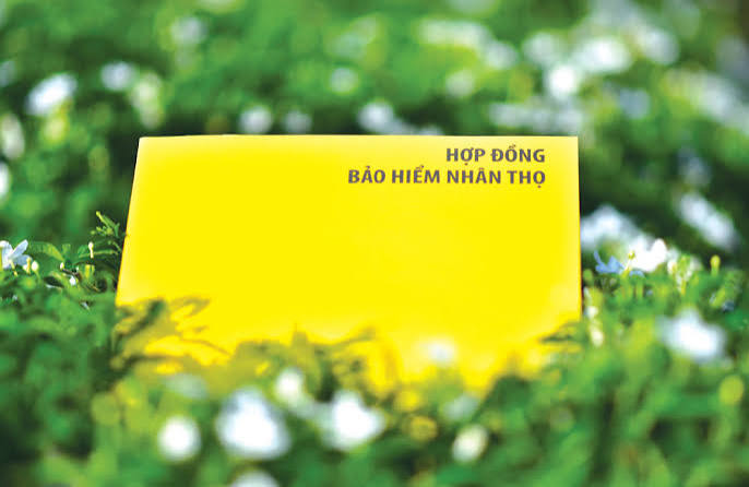 Giải pháp nâng cao hiệu quả sinh lời của các doanh nghiệp kinh doanh bảo hiểm nhân thọ tại Việt Nam trong bối cảnh mới