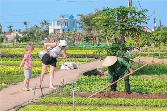 Những yếu tố ảnh hưởng đến sự hài lòng của khách du lịch quốc tế về chất lượng dịch vụ homestay tại Hà Nội
