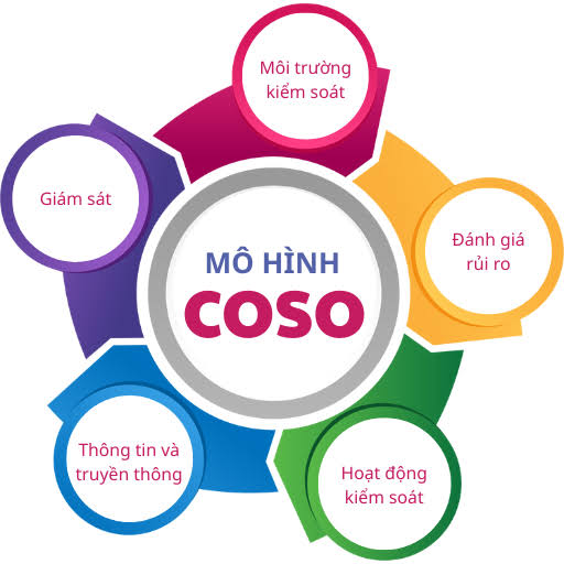Đánh giá hệ thống kiểm soát nội bộ chu trình mua hàng và thanh toán theo khung COSO tại doanh nghiệp vừa và nhỏ ở Việt Nam