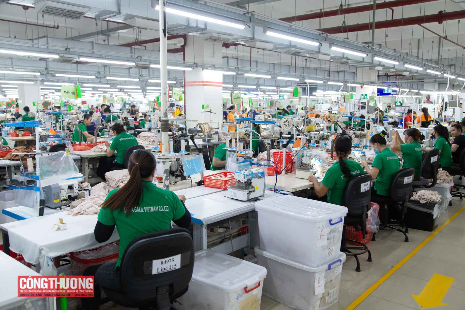Gia Lai đặt mục tiêu tổng kim ngạch xuất khẩu trên 17 tỷ USD giai đoạn 2026-2030