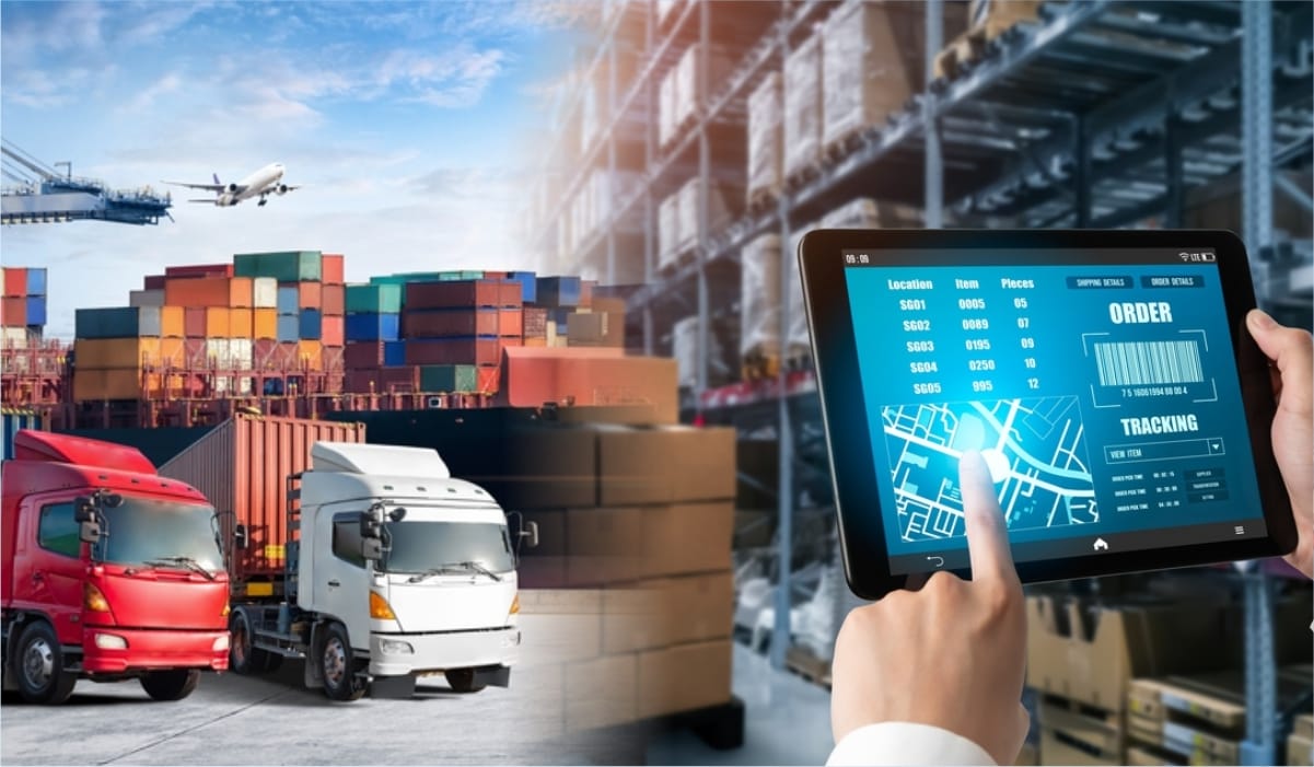 Logistics và chuỗi cung ứng: Cơ hội, thách thức xuất khẩu tôm thẻ Việt Nam
