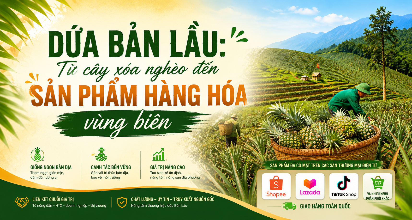 [eMagazine] Dứa Bản Lầu: Từ cây xóa nghèo đến sản phẩm hàng hóa vùng biên