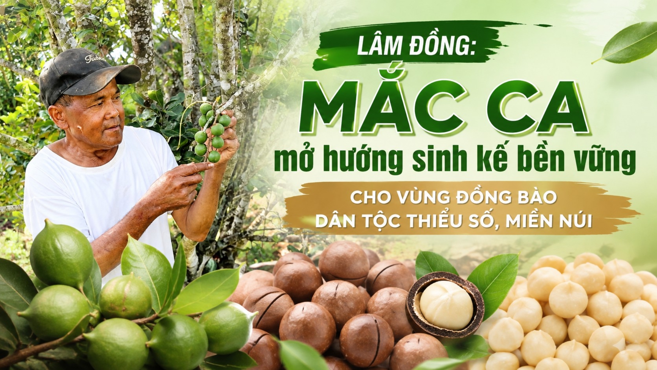 [eMagazine] Lâm Đồng: Mắc ca mở hướng sinh kế bền vững cho vùng đồng bào dân tộc thiểu số, miền núi