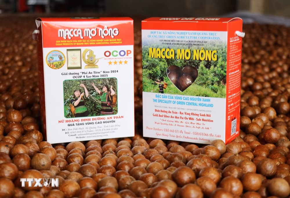 Sản phẩm Hạt mắcca Mơ Nông đạt chứng nhận OCOP 4 sao của Hợp tác xã Nông nghiệp xanh Quảng Trực góp phần xây dựng thương hiệu nông sản xã vùng biên Quảng Trực, tỉnh Lâm Đồng.