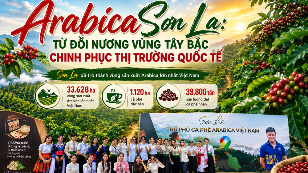 [eMagazine] Arabica Sơn La: Từ đồi nương vùng Tây Bắc chinh phục thị trường quốc tế