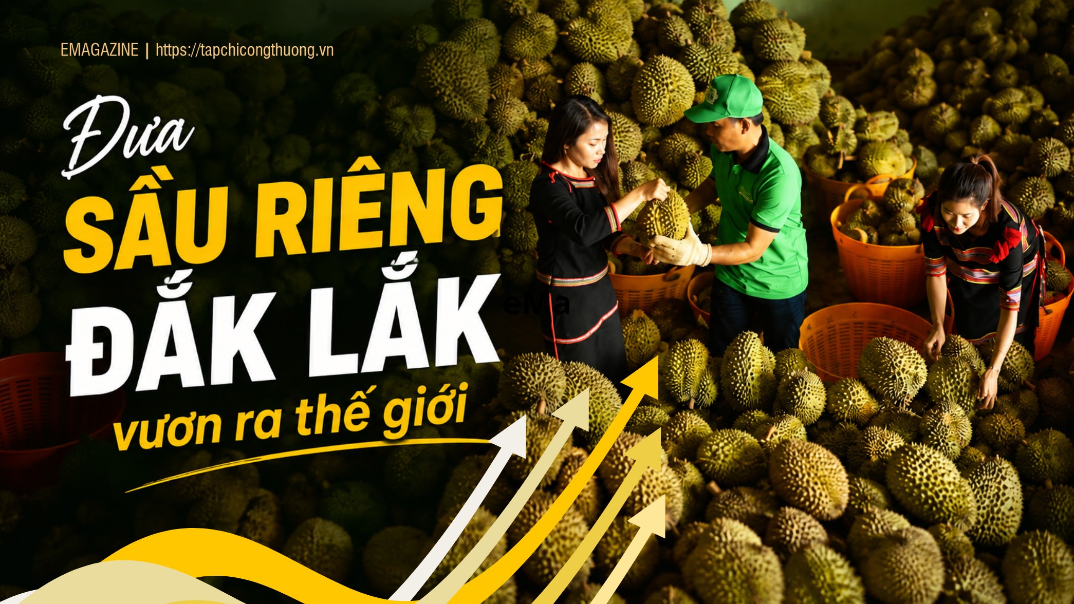[eMagazine] Đưa sầu riêng Đắk Lắk vươn ra thế giới