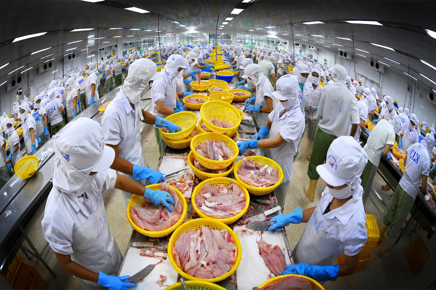 Xu hướng tiêu dùng thủy sản bền vững tại EU và một số khuyến nghị cho doanh nghiệp Việt Nam