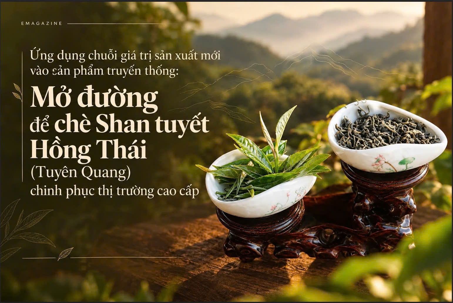 [eMagazine] Mở đường để chè Shan tuyết Hồng Thái (Tuyên Quang) chinh phục thị trường cao cấp: Ứng dụng chuỗi giá trị sản xuất mới vào sản phẩm truyền thống: