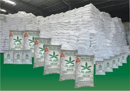 Tiềm năng xuất khẩu tinh bột sắn sang thị trường châu Phi, Tây Á, Nam Á