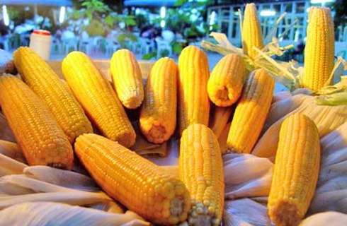 Maize imports rise as rice exports fall