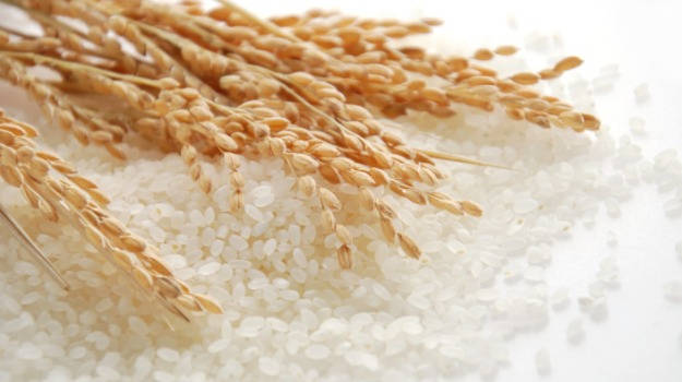 Vietnam rice export to hit over 2.7 million tonnes in H1
