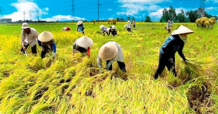 Tác động của chính sách xóa đói giảm nghèo đến khả năng thoát nghèo của người dân tại tỉnh Trà Vinh