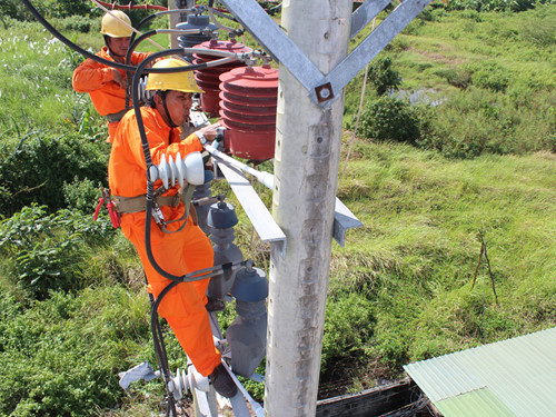 EVN brings electricity to rural areas, islands