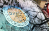 Tem đăng kiểm ghi mức khí thải thực tế, không phải chuẩn Euro của xe