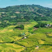 Quy chế hoạt động của BCĐ Trung ương Chương trình MTQG xây dựng nông thôn mới, giảm nghèo bền vững và phát triển KTXH vùng DTTS&MN