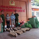 Hà Nội: Phá đường dây buôn lậu ngà voi, lộ kho thuốc lá lậu khủng