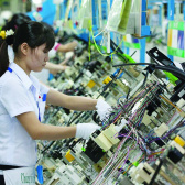 Triển khai thực hiện Kết luận số 62-KL/TW về nâng cao năng suất lao động quốc gia gắn với phát triển thị trường lao động