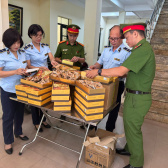 Hà Nội: 200 bánh Trung thu nhập lậu bị phát hiện trước mùa cao điểm