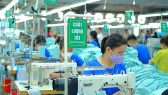 Tăng trưởng bứt phá, Dệt may TNG đẩy mạnh thâm nhập sâu chuỗi cung ứng toàn cầu
