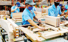 Xuất khẩu gỗ và sản phẩm gỗ: Đa dạng hóa thị trường, tăng cường khai thác các FTA