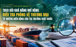 [Emagazine] Theo dõi khả năng mở rộng điều tra phòng vệ thương mại từ những biến động của thị trường xuất khẩu