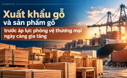 [eMagazine] Xuất khẩu gỗ và sản phẩm gỗ trước áp lực phòng vệ thương mại ngày càng gia tăng