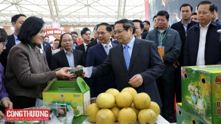 Thủ tướng yêu cầu tăng cường quảng bá sản phẩm địa phương tại Hội chợ Mùa Xuân lần thứ nhất năm 2026