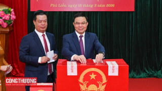 Quyền Bộ trưởng Bộ Công Thương Lê Mạnh Hùng tham gia bỏ phiếu bầu đại biểu Quốc hội khóa XVI và Hội đồng nhân dân các cấp tại TP. Hải Phòng