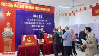 Gần 79 triệu cử tri cả nước đi bầu cử đại biểu Quốc hội khóa XVI và đại biểu HĐND các cấp
