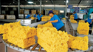 Xuất khẩu cao su tăng cả lượng và giá trị trong Quý I/2026