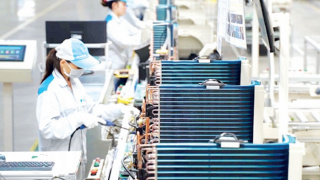 Phê duyệt Chương trình hỗ trợ kinh doanh bền vững giai đoạn 2026-2030