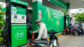 Ban hành Nghị quyết thí điểm một số chính sách trong triển khai lộ trình sử dụng xăng E10