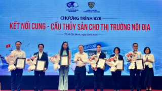 Chinh phục thị trường nội địa: Khơi thông dòng chảy cho thủy sản chất lượng cao