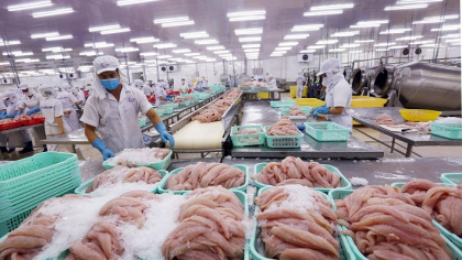 Thuế nhập khẩu giảm, lợi thế của thủy sản Việt Nam vào EU