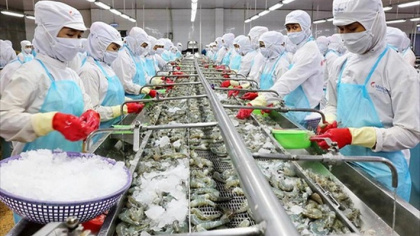Doanh nghiệp xuất khẩu cần tìm hiểu kỹ quy định an toàn thực phẩm