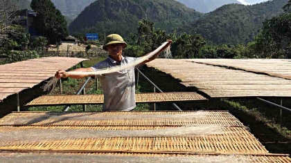 Làm giàu trên diện tích đất kém hiệu quả