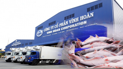 Xuất khẩu cá tra nửa cuối năm của Thuỷ sản Vĩnh Hoàn (VHC) có thể tăng 25%