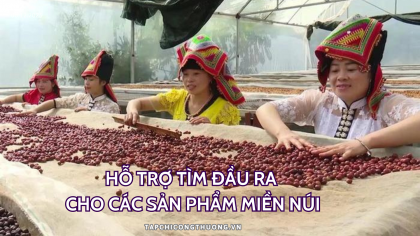 Hỗ trợ tìm đầu ra cho các sản phẩm miền núi