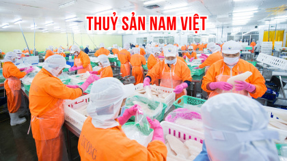 Cổ đông Thuỷ sản Nam Việt (ANV) nhận cổ tức trong lúc chờ phát hành tỷ lệ 1:1