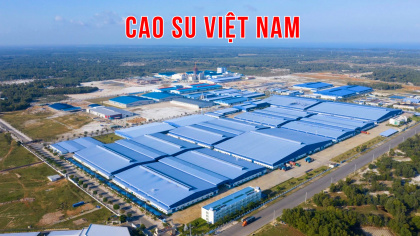 Cao su Việt Nam (GVR): Đã có 23.500 ha đất cao su được phê duyệt chuyển đổi sang đất công nghiệp