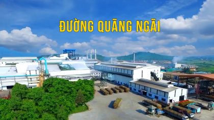 Cháy rừng dữ dội tại Brazil, kỳ vọng Đường Quảng Ngãi (QNS) tăng tốc