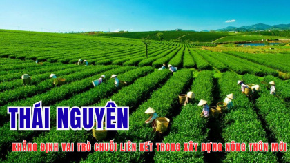 Thái Nguyên khẳng định vai trò chuỗi liên kết trong xây dựng nông thôn mới