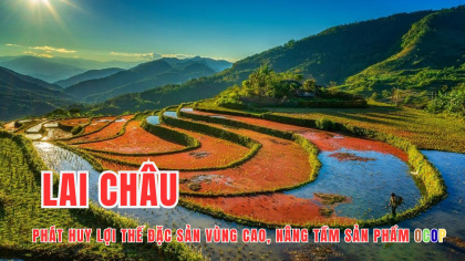 Lai Châu phát huy lợi thế đặc sản vùng cao, nâng tầm sản phẩm OCOP