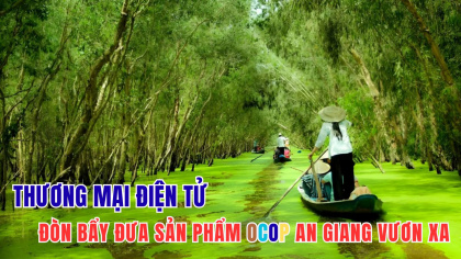 Thương mại điện tử - đòn bẩy đưa sản phẩm OCOP An Giang vươn xa