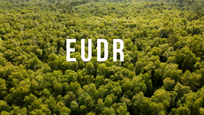 EU mâu thuẫn bởi EUDR - Tác động tới doanh nghiệp Việt Nam thế nào?