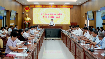 Gia Lai: Đồng hành, thúc đẩy doanh nghiệp tiên phong phát triển
