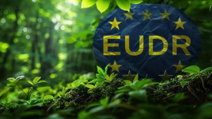 EU ban hành hướng dẫn mới về EUDR: Doanh nghiệp Việt Nam cần chủ động hoàn thiện hồ sơ truy xuất nguồn gốc