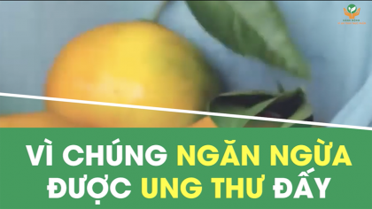 04 phần bỏ đi của thực phẩm có tác dụng ngăn ngừa ung thư 