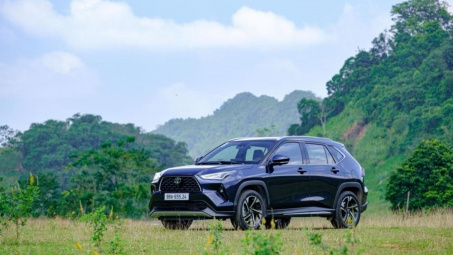 Toyota Việt Nam bán được bao nhiêu xe trong tháng 6/2024?